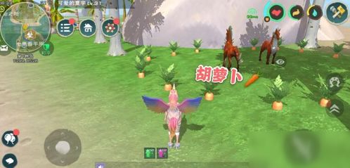 创造与魔法如何获得陆行鸟饲料