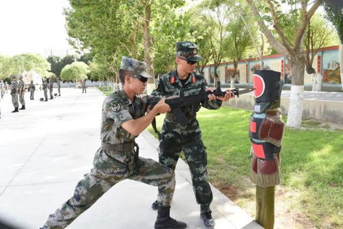短兵，短兵 三国杀