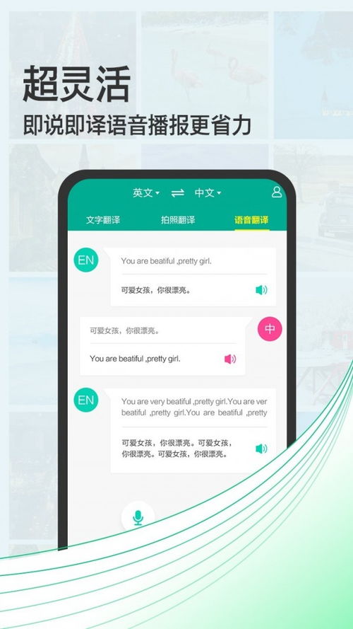 在线翻译拍照，在线翻译拍照翻译器百度翻译