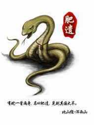 妄想山海肥遗刷新位置在哪里