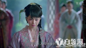 琅琊榜续集，琅琊榜续集风起长林