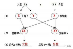 假想是什么意思