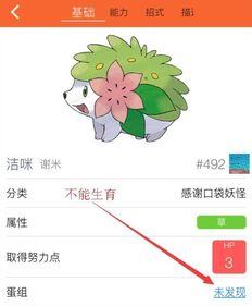 宝可梦孵化的规则有哪些?