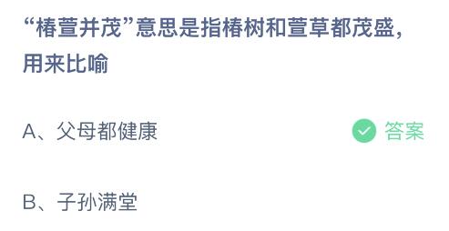 椿楦什么意思