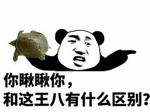 女生问我是你的什么怎么回答