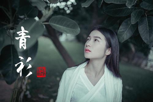 新大主宰青衫剑圣阵容怎么搭配 剑圣搭配推荐