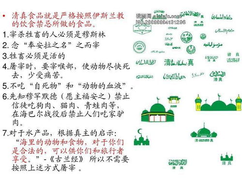 浅析是什么意思