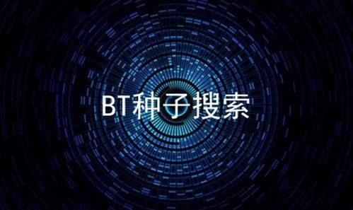 迅雷种子搜索，迅雷种子搜索神器蚂蚁
