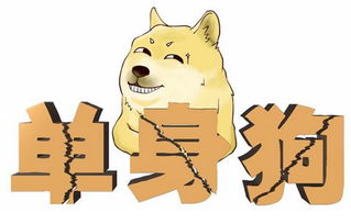 单身是什么意思?