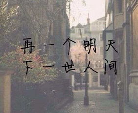 《明天下》txt下载在线阅读全文,求百度网盘云资源