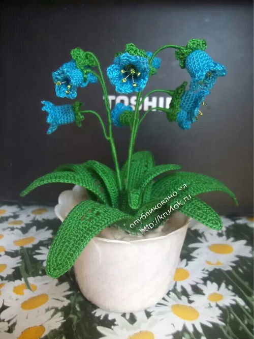 绒线花，绒线花树