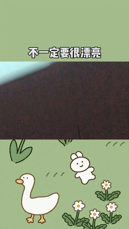 不一定是什么意思 什么是不一定