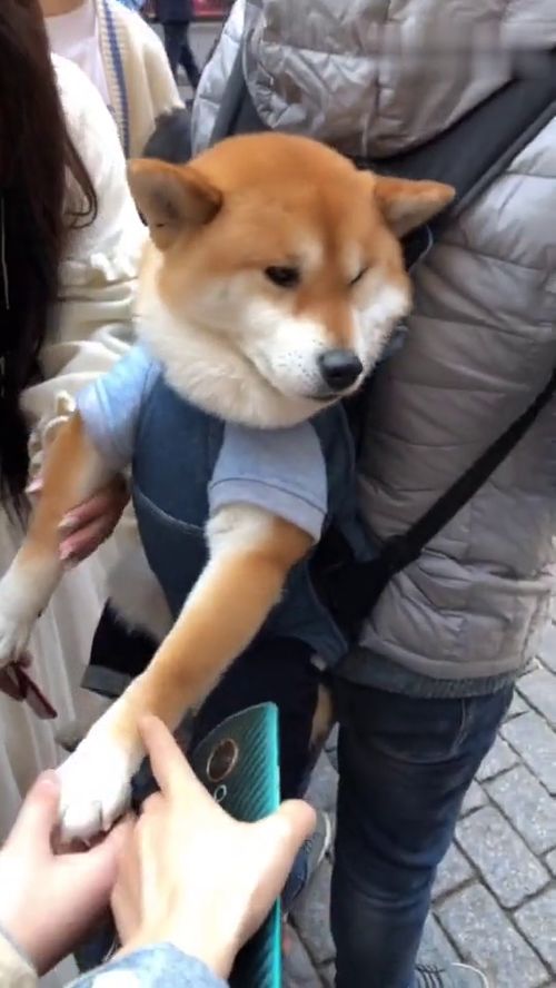 单身的图片，单身的图片带字