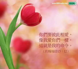 陪你去远方，陪你去远方薛之谦
