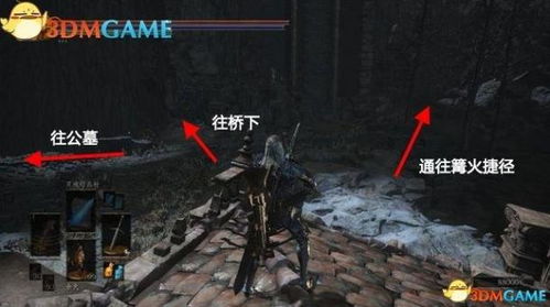 黑暗之魂3环印城多大