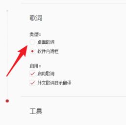 网易云音乐歌词，网易云音乐歌词怎么弄出来