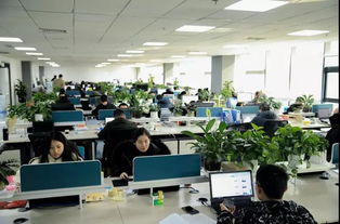 灵匠科技靠什么赚钱