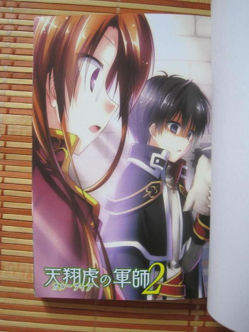 天翔虎军师