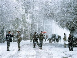 暴雪中国，暴雪中国官网