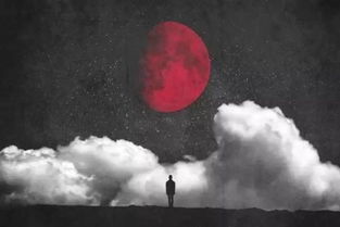 星空男孩网，星空男孩网校园故事
