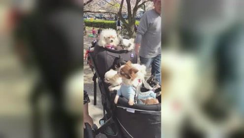 我f盘里的电影只有标题文件夹显示是空的什么原因但内存没有少_百度知