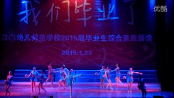 翼年代记梦之翼中文意思是?