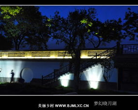 关于晓月的诗句(219条诗句)