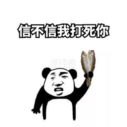 我不信表情包，鲁豫有约真的吗我不信表情包