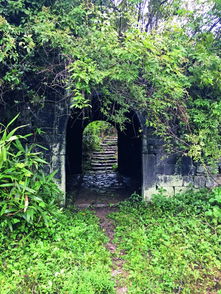 远芳侵古道，远芳侵古道意思