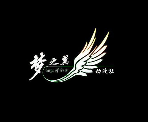 梦之翼，梦之翼团队