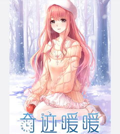 奇迹暖暖游戏，奇迹暖暖游戏类型