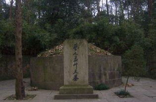 天墓，天墓斗破苍穹