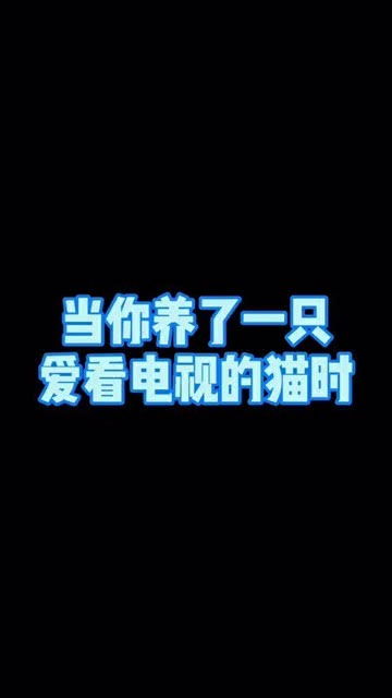 是在，是在树上的睡网夏天用的