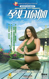 如何设置让蝉妈妈查不到个人信息