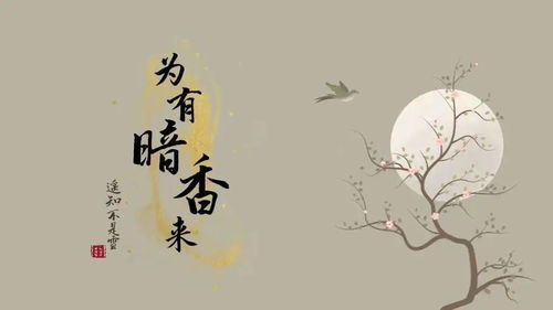 关于暗香来的诗句(描写暗香的诗句)