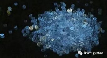 什么的磷光?