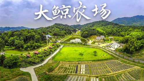 建个大农场，建个大农场小游戏