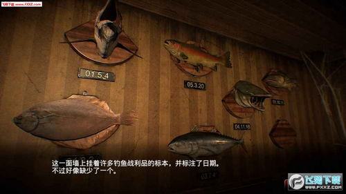 临终重生试炼，临终重生试炼攻略