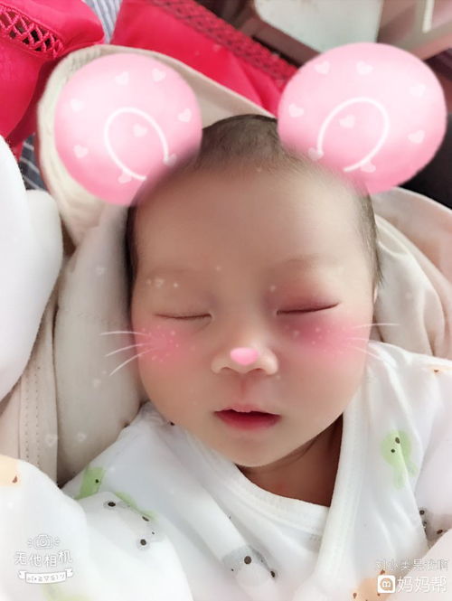 可可宝贝如何同时两个手机登录