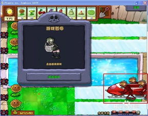 全面冻结怎么过