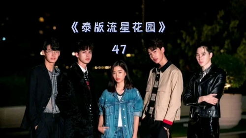 泰版流星花园，泰版流星花园演员