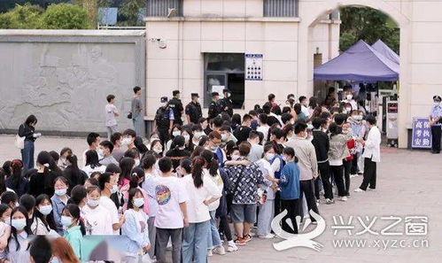 怎么在阳光高考网查院校信息