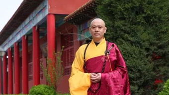 圆法师，圆法师进化图