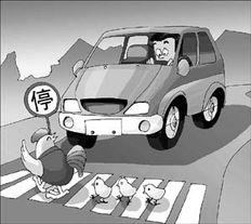 汽车安全驾驶，汽车安全驾驶知识