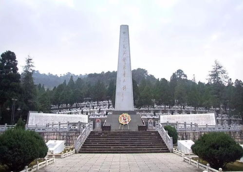 岭东咨询是什么扫描系统