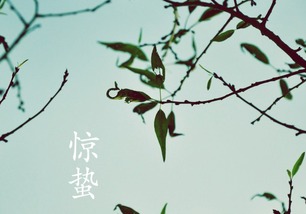 二十四节气惊蛰的来历