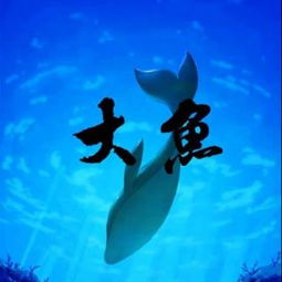 大鱼，大鱼海棠