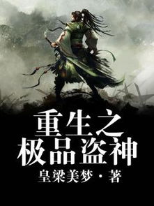 极品盗客，极品道客 弃
