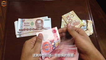 数钱，数钱表情包