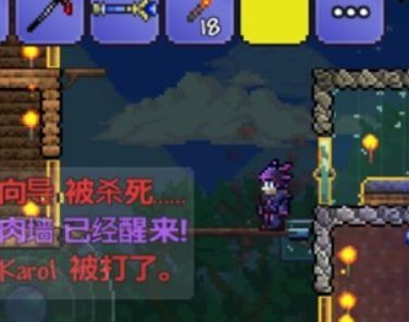 泰拉瑞亚肉山，泰拉瑞亚肉山怎么打